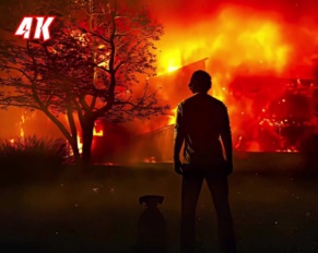 John Wick Twixtor 4K