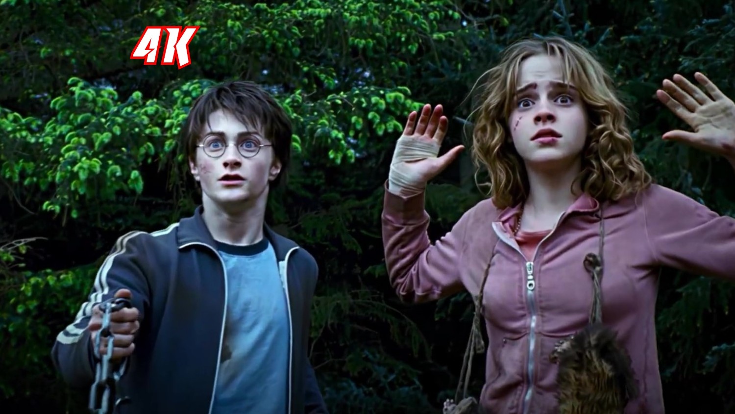 Buckbeak Rescue Clip | Harry Potter and the Prisoner of Azkaban